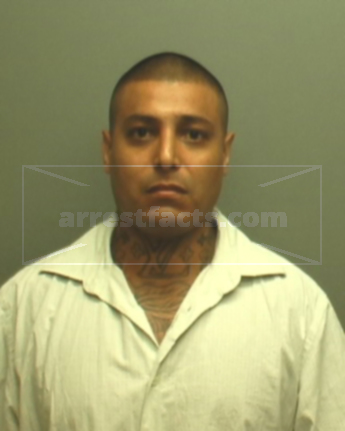 David C Casarez