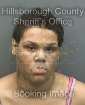 Taylor Paije Phillips