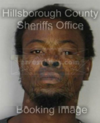 Cimino L Mclowery