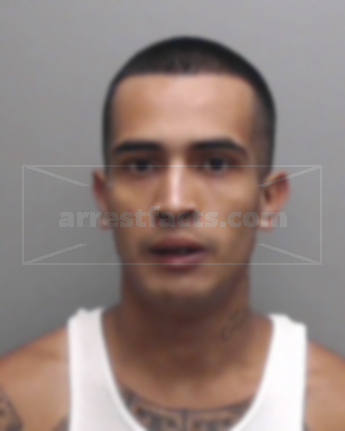 Bertin Yoshio Castillo