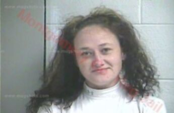 Lisa Carol Creech