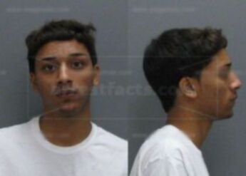 Tyree L Holland