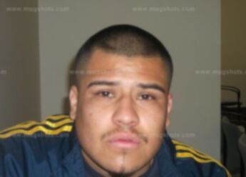 Sergio Pulido Gonzalez