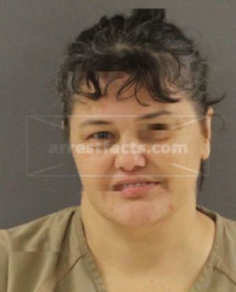 Teressa Ann Engle
