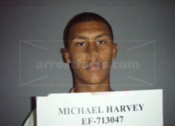 Michael Harvey