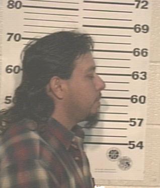 Ismael Medellin Olivas