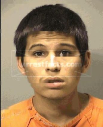 Michael Louis Ortiz Jr.