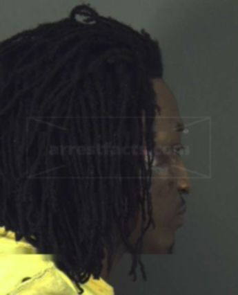 Michael Leroy Jenkins Jr