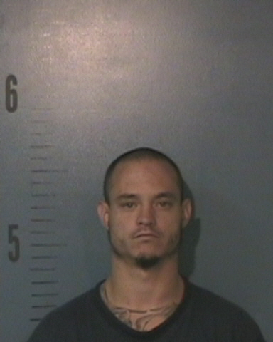 David Lee Williams