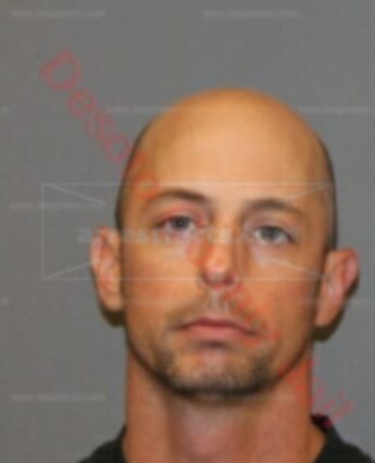 David Dickinson Fischer Jr.