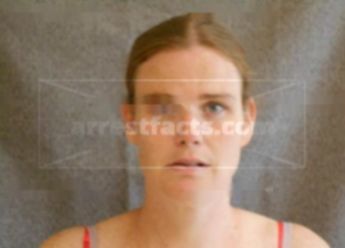 Alicia L Mcmullin