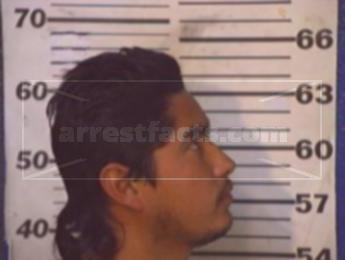 Diego Gonzalez Matamoros