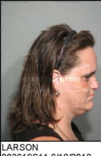 Karen Sheehan Colwell Larson