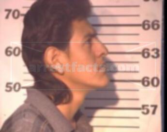 Luis Amadeo Dominguez