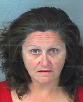 Donna Schmidt Urling