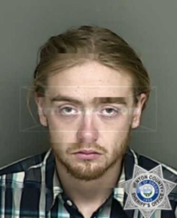 Dalton James Davis Williamson
