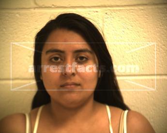 Laura Lizzett Jimenez Izaguirre