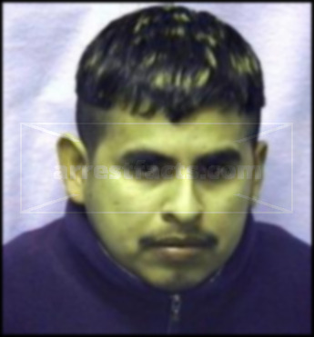 Yamilo Nmn Hernandez-Arellano