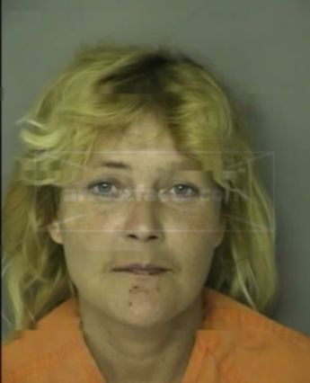 Robin Ann Straughan