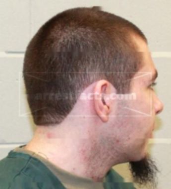 Alexander J Enk
