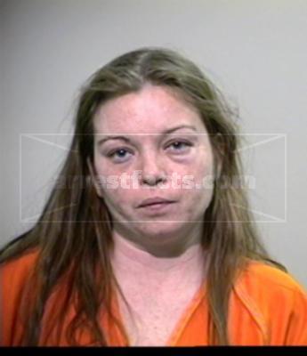 Amanda Elizabeth Stowe