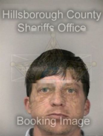 Todd M Collins