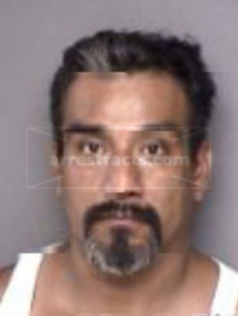 Pete M Martinez