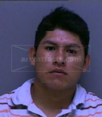 Michael Alexander Tello