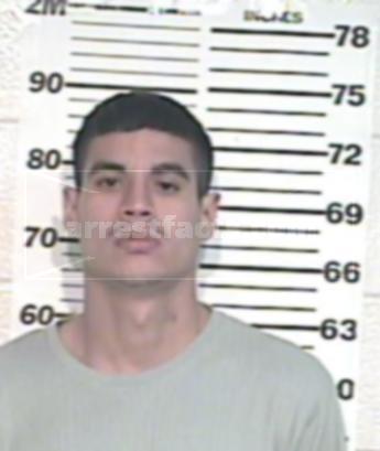 Miguel Hernandez Viramontes