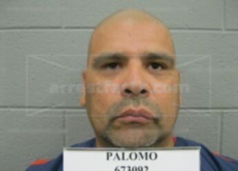 Particio Palomo