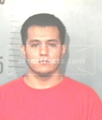 Gabriel Lee Flores