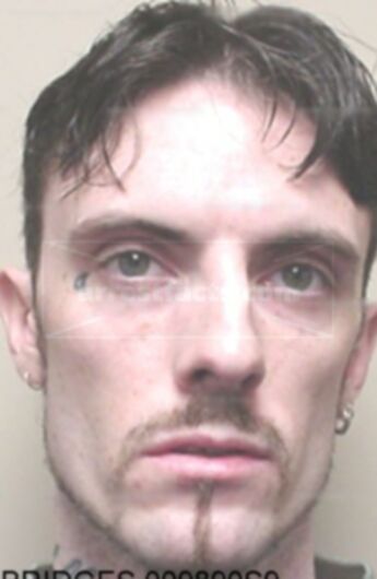 Jeffrey James Bridges