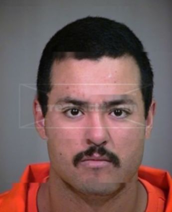 Felipe J Alvarado