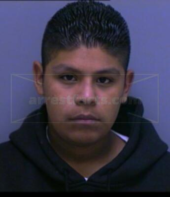 Gabino Leeann Torrescano