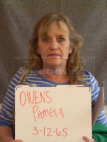 Pamela S Owens