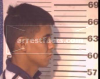 Michael Alfredo Marines Dominguez