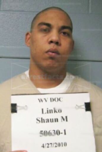 Shaun M Linko