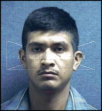 Bertin Molina Castillo