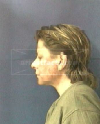 Lisa H Cook