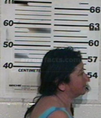Alicia Bazan Cerda