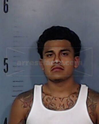 Raul Roy Quinonez Medina
