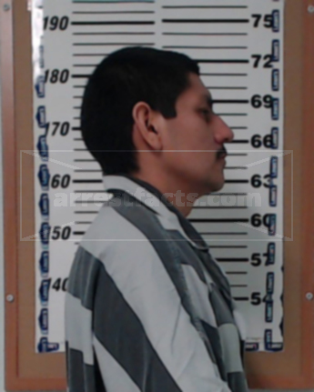 Gerardo Flores-Ayala