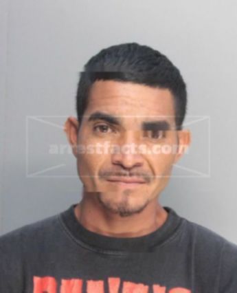 Nelson Alexander Mena