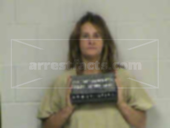 Susan Ann Heffelfinger