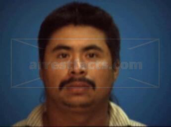 Jose Serrato Martinez