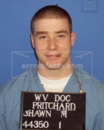 Shawn M Pritchard