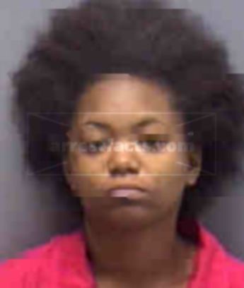 Hollie Marissa Jenkins