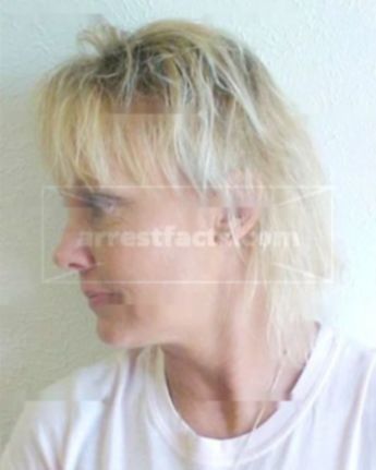 Dianna L Williams