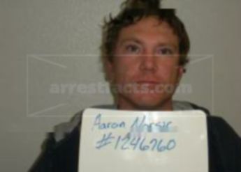 Aaron J Norsic