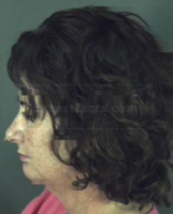 Caroline M Counihan
